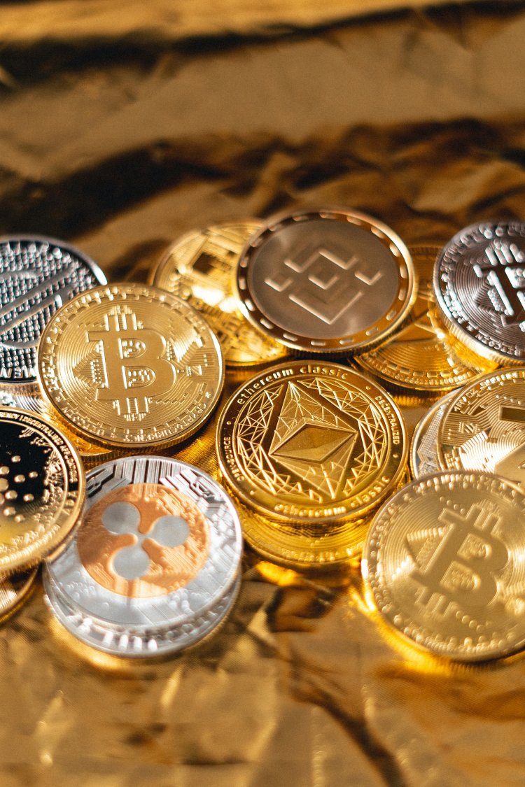 How to Safely Store Your Crypto Wallets Explained for Beginners